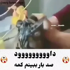 داوود کجایی؟ 🤣🤣🤣🤣