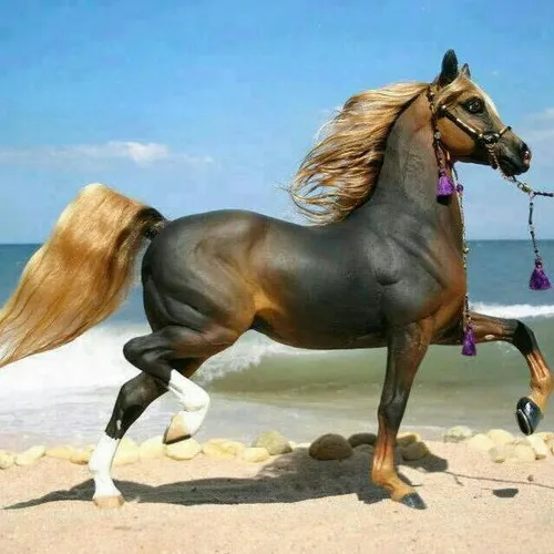 باباخدایش این اسب چقدر زیباست!!