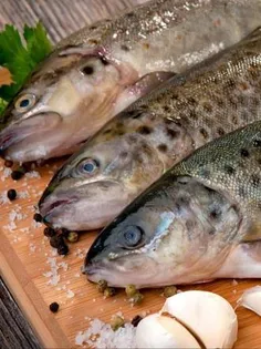 ماهی قزل آلا شامل بالاترین سطوح اسیدهای چرب امگا 3 است.