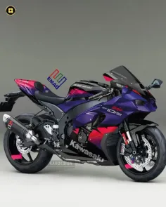 Kawasaki-ZX 10 RR_Violet