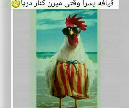 ههههههههههههههههههههههه