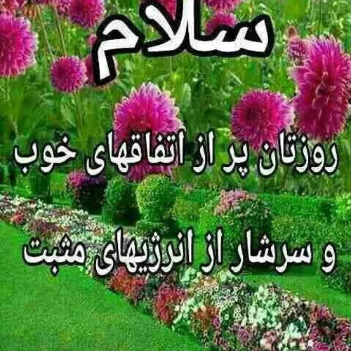  sonyaabasi 71083419 - عکس ویسگون