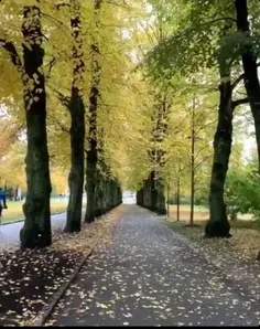 🍁 صبح  یعنی 