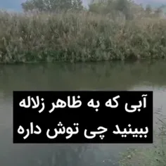 آبی که به ظاهر زلاله ببینید چی توش داره!!!