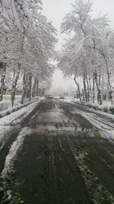 بالاخره تهرون هم برف اومد☃ ❄ 