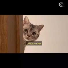 sunshinegirl3200 75569480