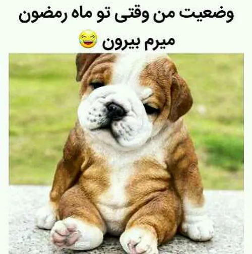 من بیرون نرفته اینجوریم. 😖 🙊 😋