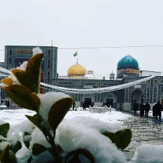 عقل در درک تو مبهوت و گرفتار شده