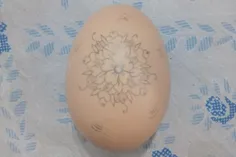 نقاشی روی تخم مرغ(نقاشی حس خوبی است)