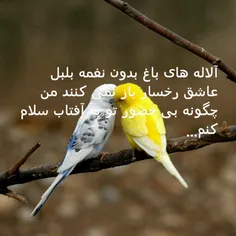 بی حضور تو!