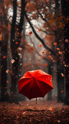 تصاویر پس زمینه my_heart_beats_for_u 74673528