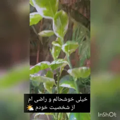 اولین پاکدست چنلم 🌬❤
