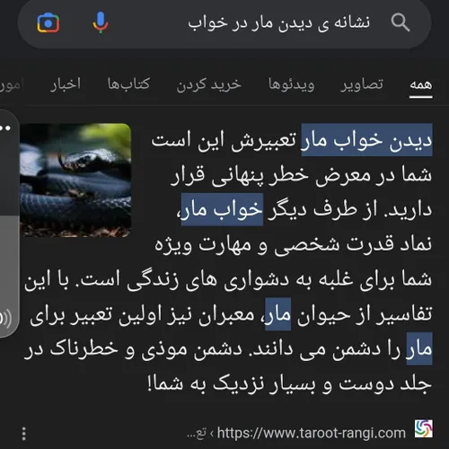 بچه ها خواب مار سیاه دیدم...