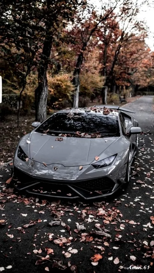 Lamborghini