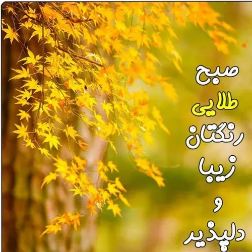 سلاااااااام دوستان♥ ️🌷 ♥ ️🌷