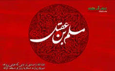 با نام حسین مست شدن می چسبد 