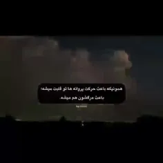 پروانه ی آبی من؛
