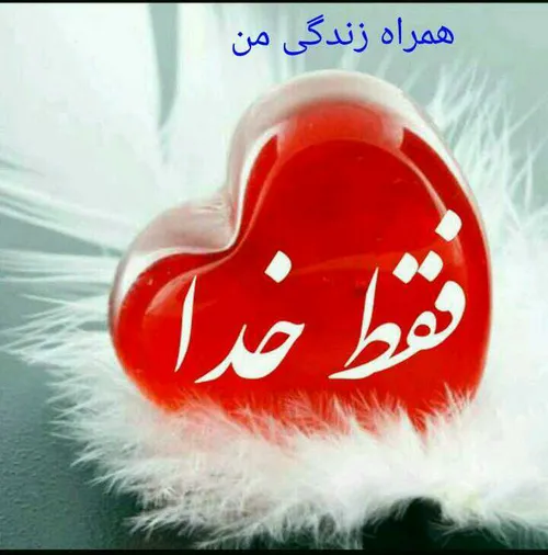 عکس نوشته narges.mozhdeh 19161158 - عکس ویسگون