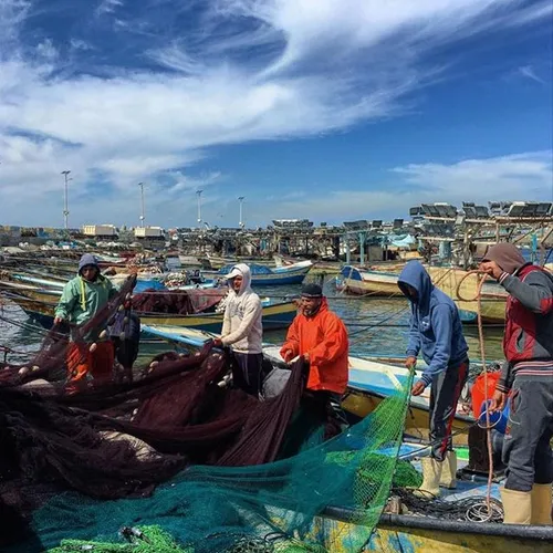 Fishermen at the port in Gaza. iPhone photo By Wissam Nas