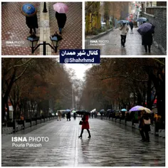 #همدان💚