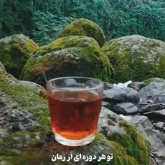 این که تن به انجام هر کاری نمی‌دی، 