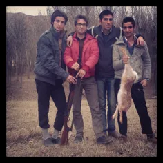 شکار خرگوش