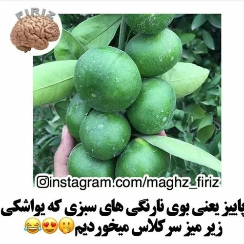 یادش بخیر 😂 😂 😍 😍