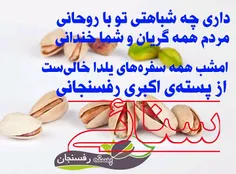 #آجیل_شب_یلدا 