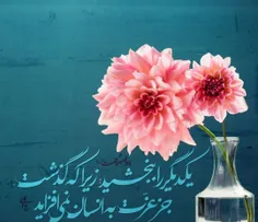 حدیث نبوی
بخشش و گذشت