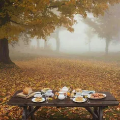 بفرمایید صبحانه  تو هوای باز پاییزی 😍  👌  🏻