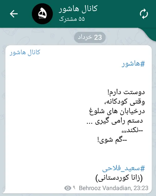 سعید فلاحی