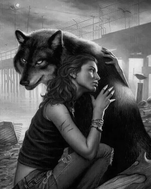 گرگها عاطفہ ندارن،