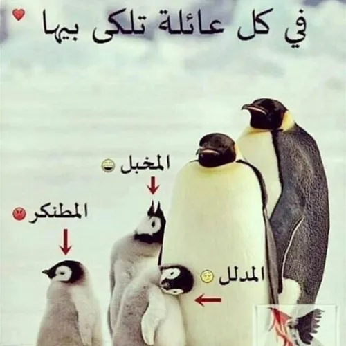 انـت منـو؟؟