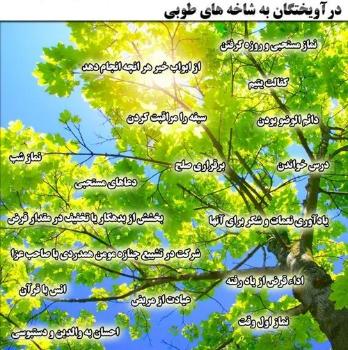 خداوند عزوجل چون روز اوّل ماه شعبان می شود امر می کند به 