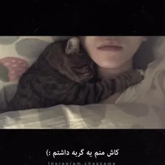 منم گورباه ميخامممممم😭😭😭