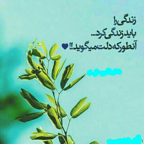 زندگی