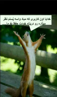 😂 😂 😂 😂 😂 😂 آمین 😉 😉 😉 😉 😜 !