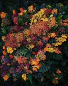 فصل پاییز و کلکسیونی از رنگها