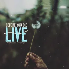 زندگی کن قبل از اینکه بمیری..