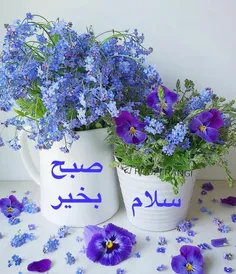 گوناگون namkdln 31085770