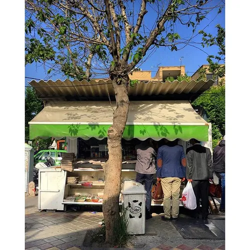 Tree and kiosk | 25 Apr '16 | iPhone 6s | aroundtehran ev