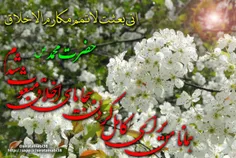 خواند زبان دلم ثنای محمد(ص)