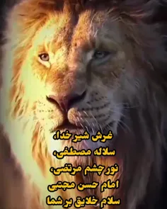 غرش شیر خدا ، نور چشم مرتضی..