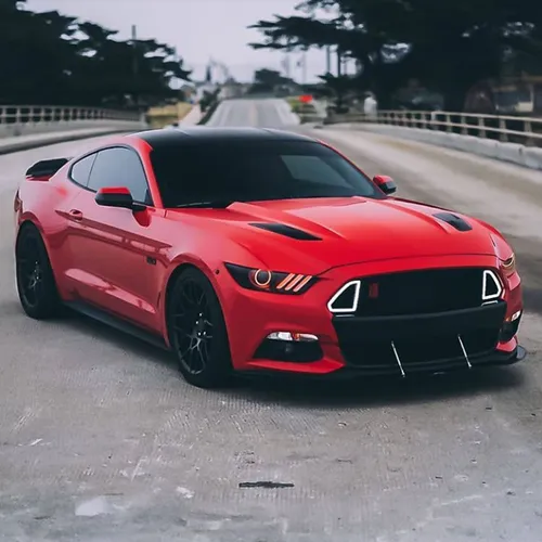 Ford-Shelby-Evil