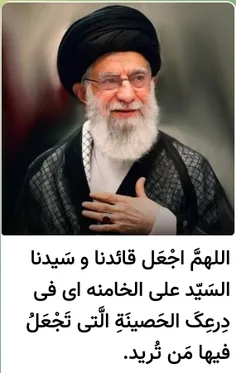 saa136 74802172