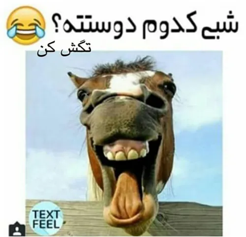 خخخخخ