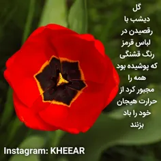 kheear 69424287