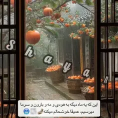 به به بارندگی عجب حالی داره🥰🥰🥰🥰🙏🙏🙏🙏