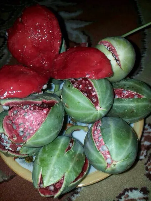 کی میدونه این چیه?