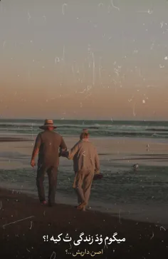 توزبون عربى يه كلمه اى هست ب اسم وُدّ